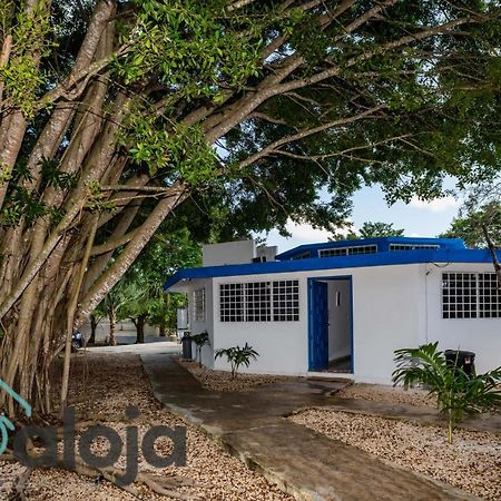 Villa Xtohil With Private Access To The Magic 7 Colors Lagoon باكالار المظهر الخارجي الصورة