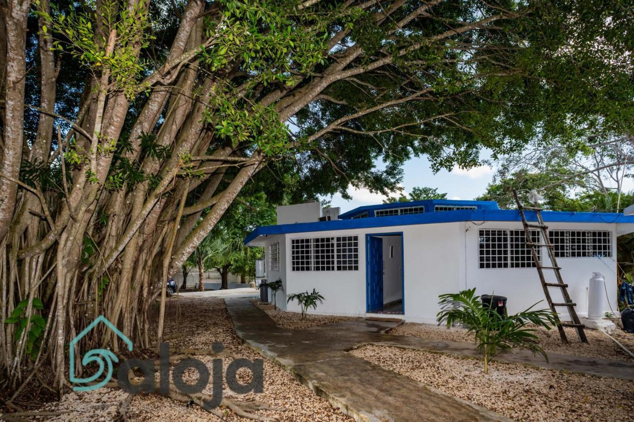 Villa Xtohil With Private Access To The Magic 7 Colors Lagoon باكالار المظهر الخارجي الصورة