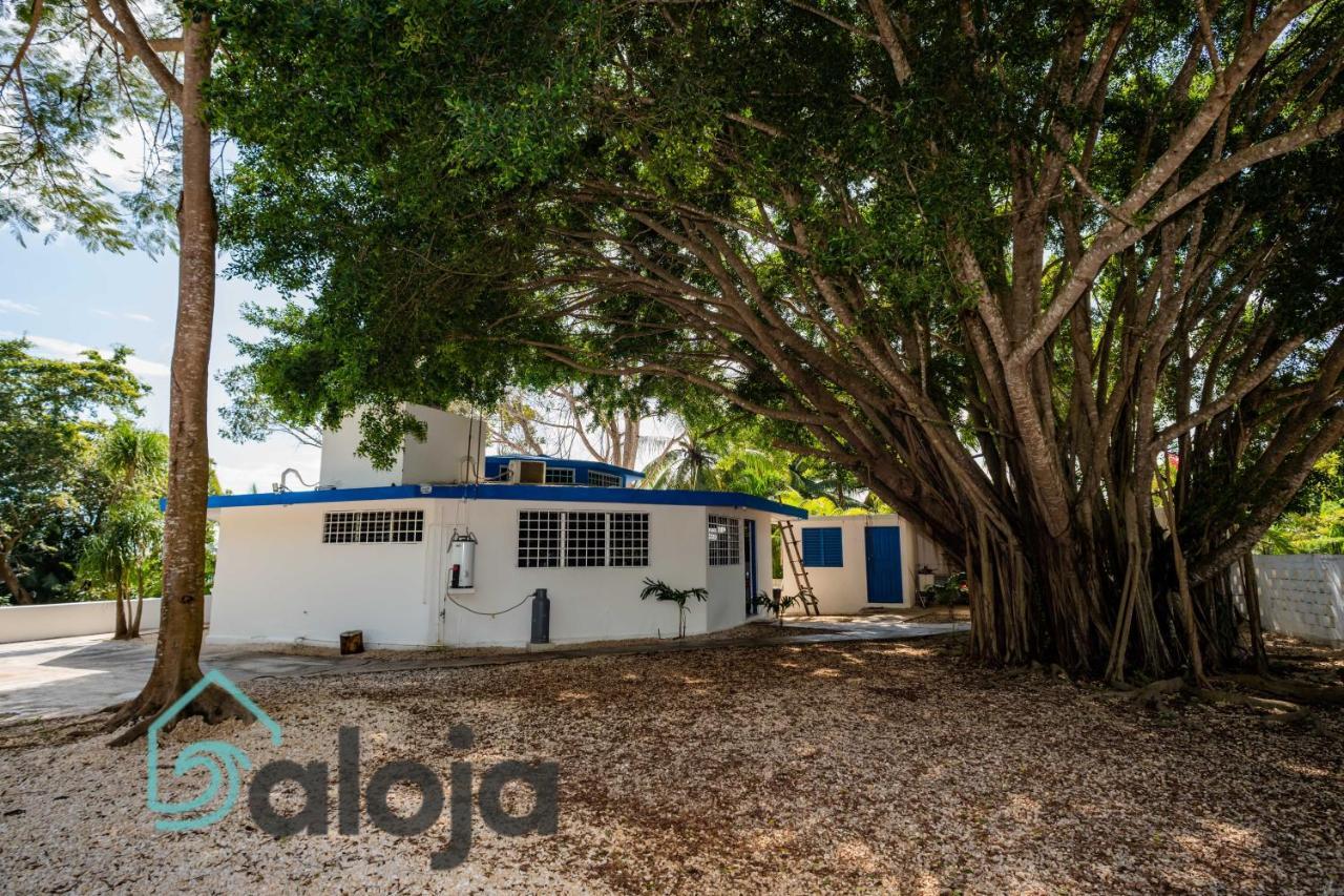 Villa Xtohil With Private Access To The Magic 7 Colors Lagoon باكالار المظهر الخارجي الصورة