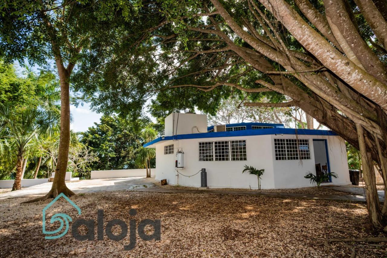 Villa Xtohil With Private Access To The Magic 7 Colors Lagoon باكالار المظهر الخارجي الصورة