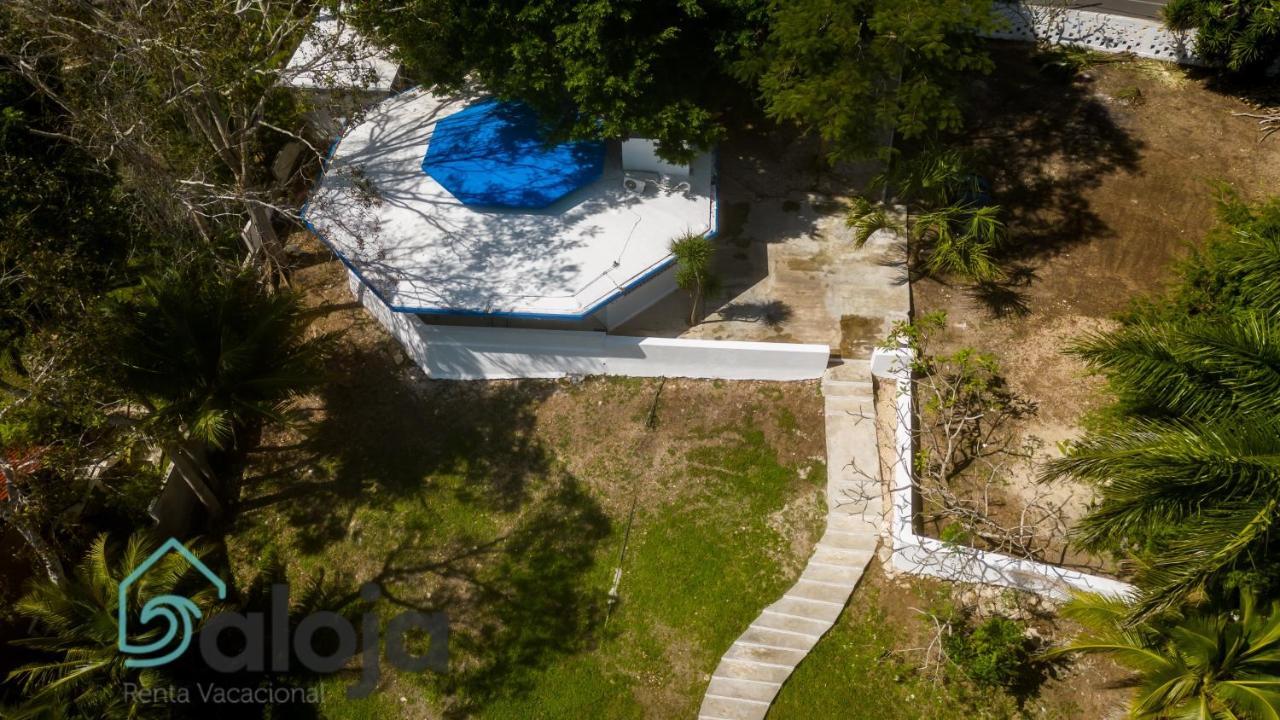 Villa Xtohil With Private Access To The Magic 7 Colors Lagoon باكالار المظهر الخارجي الصورة